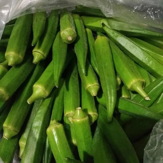 【预售】禾春元 原生态蔬菜 秋葵 份/250G 商品图1