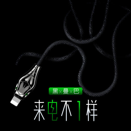 Benks苹果数据线iPhoneXS max快充线黑曼巴创意蛇形充电线8plus 商品图0