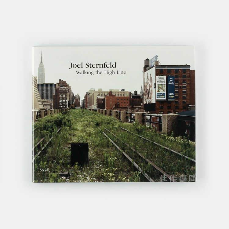 joel sternfeld : walking the high line 乔尔·斯坦菲尔德:行走在