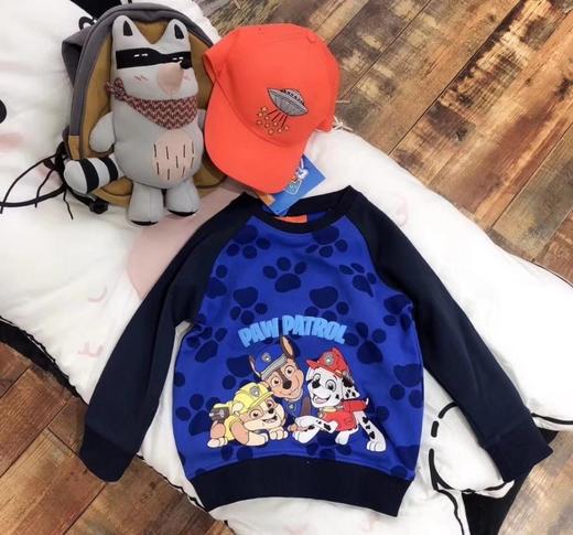 点此购买 小狗🐶汪汪队蓝色 儿童圆领卫衣 102080  pq
 商品图1