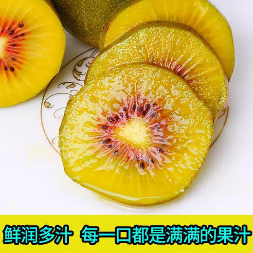 特惠四川蒲江红心猕猴桃 新鲜奇异果 礼盒装20-22颗 商品图0