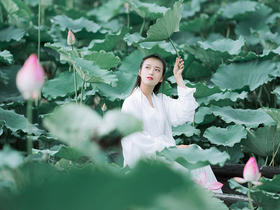 《曲院风荷》-10个关键词认识不一样的中国美