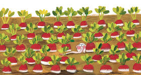 波米诺恋爱了（朗诵音频）