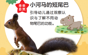 亲亲自然—小河马的短尾巴