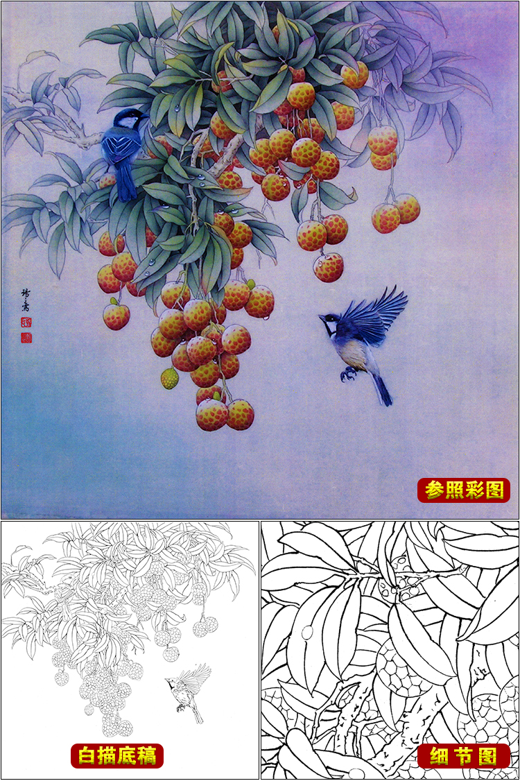 df169工笔画荔枝白描底稿国画花鸟小品线描稿临摹透稿