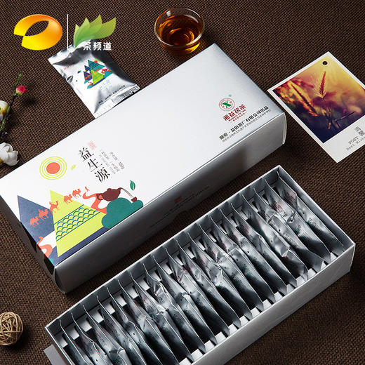 黑茶 湘益 益生源茯茶 便携易泡100g 商品图1