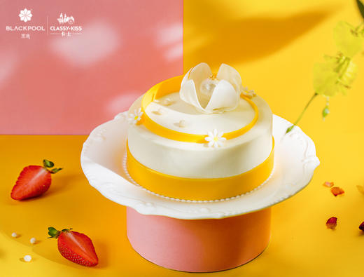 （打标签用， 不发货，勿拍）酸奶红丝绒慕斯 Yoghurt Red Velvet Mousse 商品图1