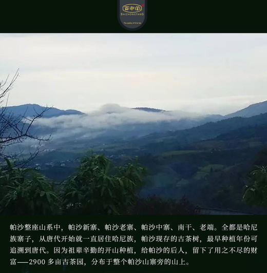 1680古树纯料—帕沙古树（2018年生茶） 商品图4