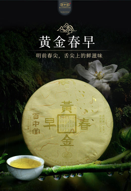 2017年黄金春早 商品图2