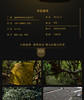 百中堂1680七星霸王（2016年生茶） 商品缩略图2