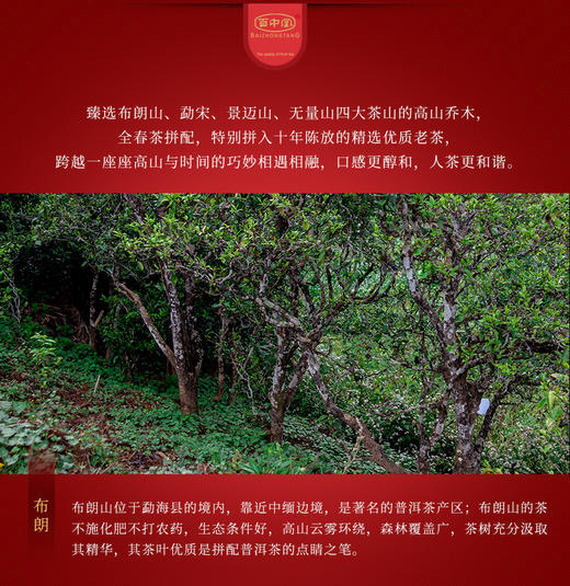 戊戌年生肖纪念—战狼寻臻（2018年生茶） 商品图3