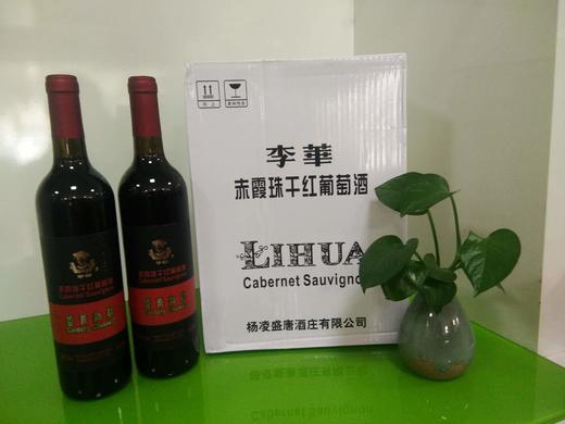 李华干红整件 商品图0