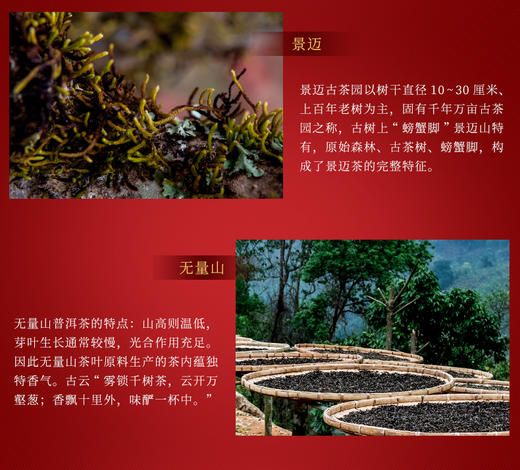 戊戌年生肖纪念—战狼寻臻（2018年生茶） 商品图4