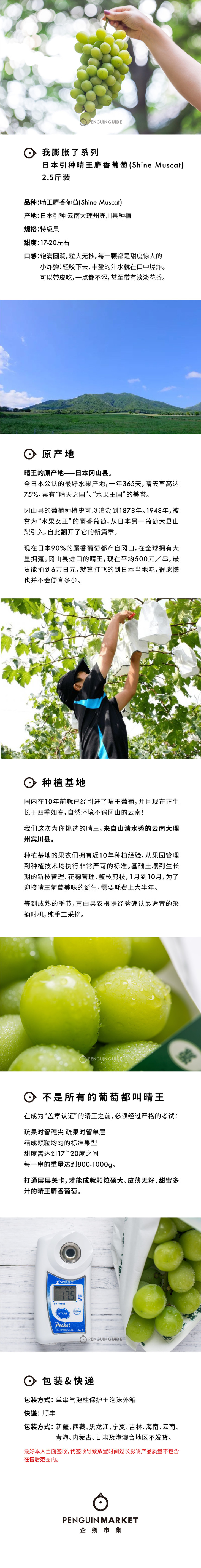 企鹅市集|日本引种晴王麝香(shine muscat)葡萄2.5斤