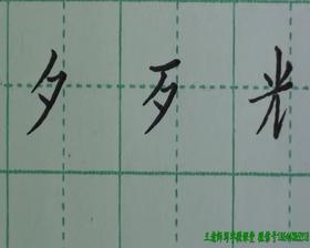 第46讲 单词训练1