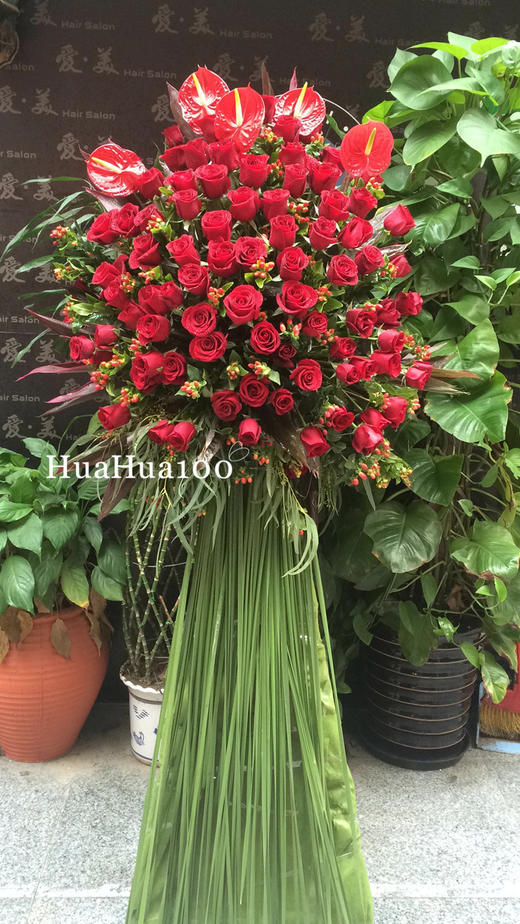 开业花篮丨红玫瑰红掌庆贺花篮097 商品图0