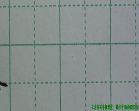 第41讲 横向结构14