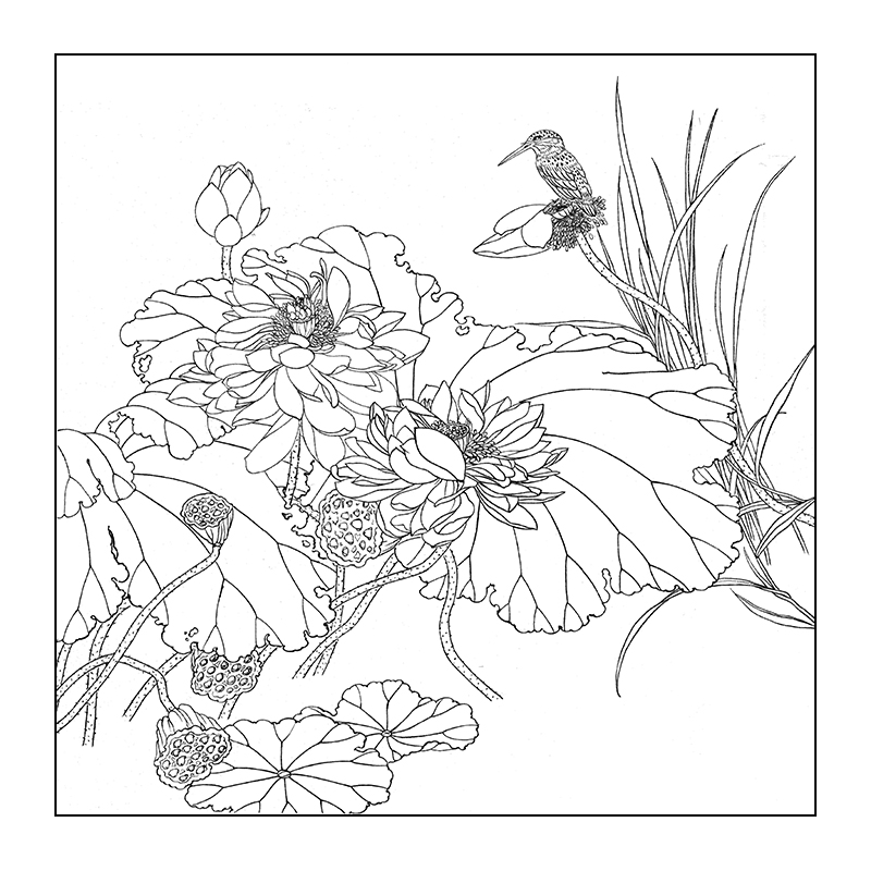 df147高清工笔画荷花白描底稿名家国画花鸟入门临摹练习素材底稿