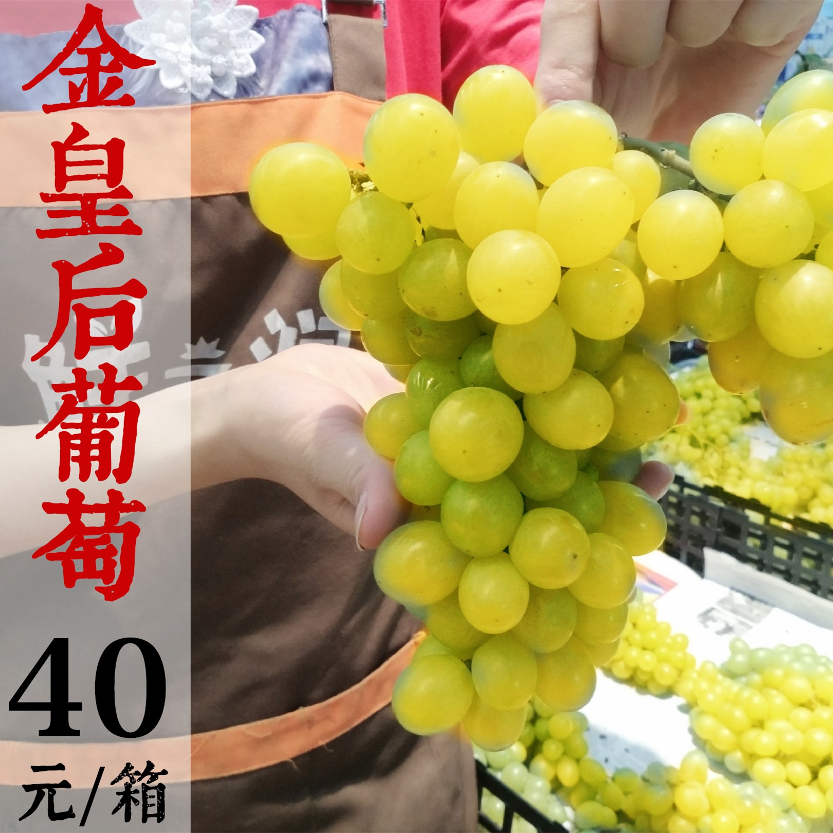 新品蜜甜【金皇后】本地胜山种植 维多利亚甜葡萄 40元一箱 5斤