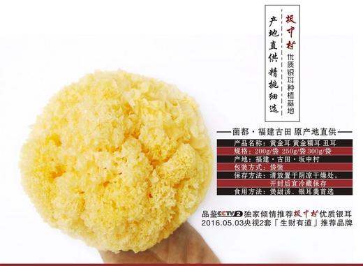 福建古田 黄金糯耳 CCTV2倾情推荐 商品图3