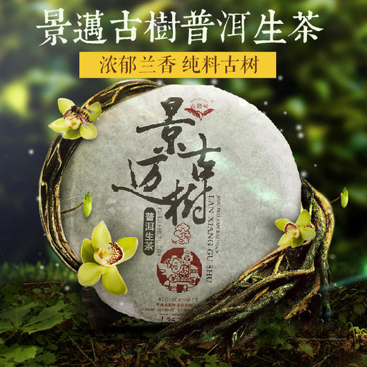 景迈300年兰香大树七子饼茶饼 2013新春茶 普洱生茶357g 商品图0