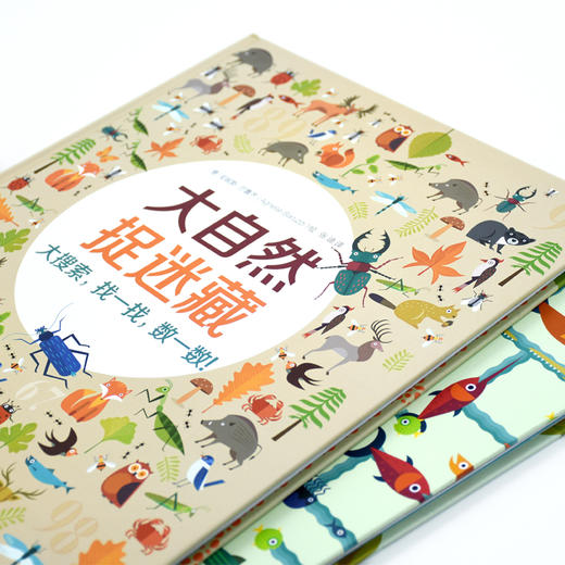 大自然专注力培养地板书（套装共2册） [3-6岁] 商品图5