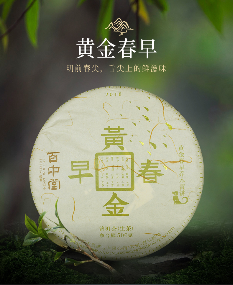 百中堂1680黄金春早——茶中黄金（2018年生茶）