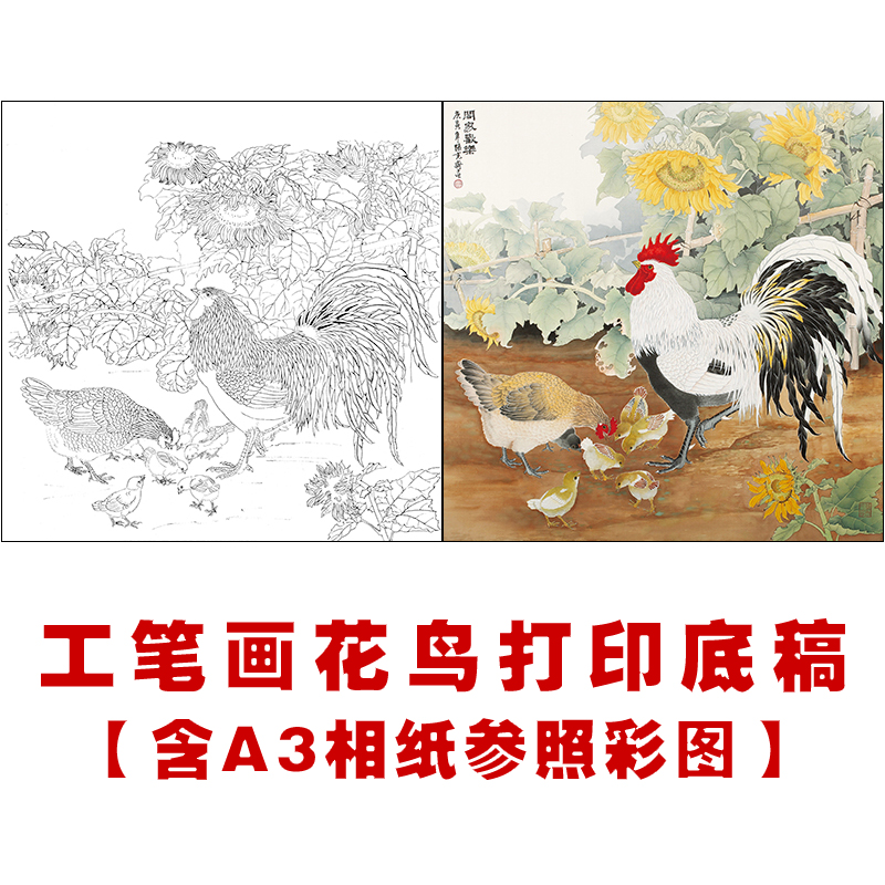 df131工笔画公鸡白描底稿国画花鸟小品线描稿临摹练习