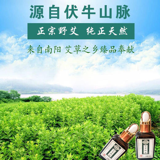 艾草精油(30ml/瓶) 商品图7