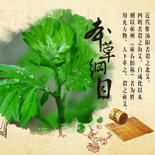 艾草精油(30ml/瓶) 商品图3