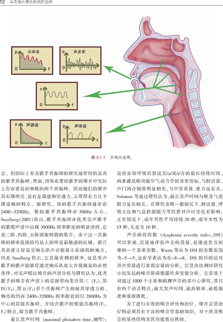 实用临床嗓音疾病矫治学