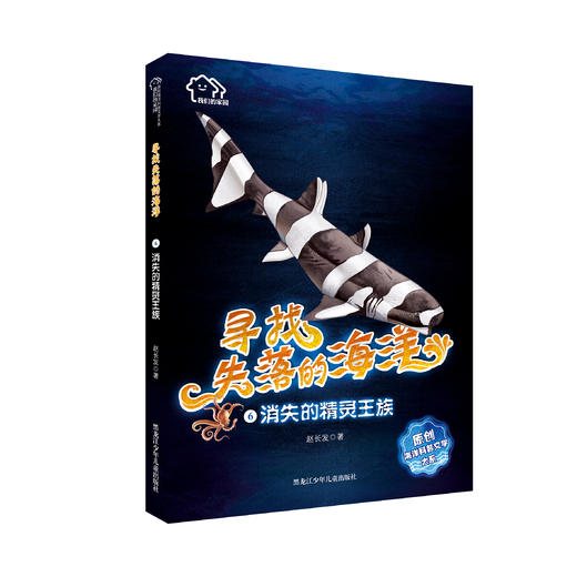 消失的精灵王族 商品图0