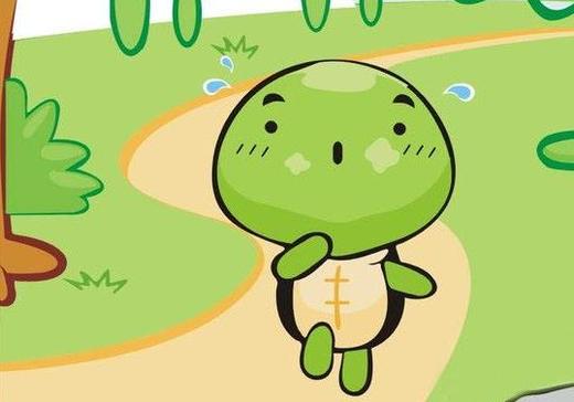 我的小乌龟巴西五世 商品图0