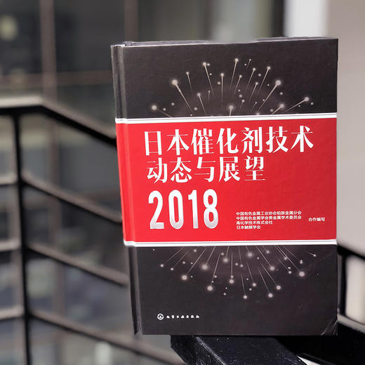 日本催化剂技术动态与展望2018 商品图1