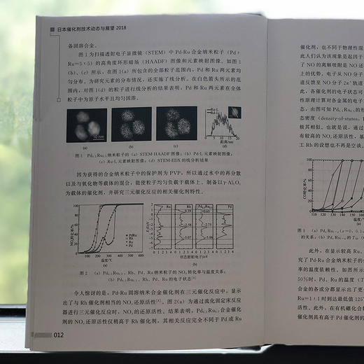日本催化剂技术动态与展望2018 商品图3