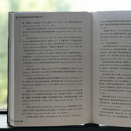 日本催化剂技术动态与展望2018 商品图5