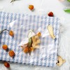 蓉儿泡的茶  桂圆甜菊生姜茶 商品缩略图2