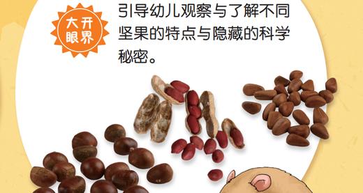 大开眼界—好硬的坚果 商品图0