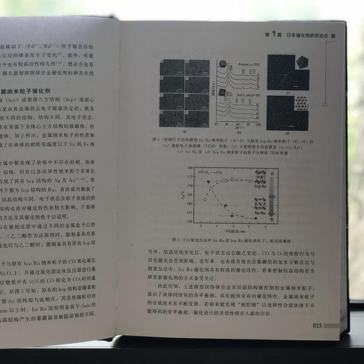 日本催化剂技术动态与展望2018 商品图4