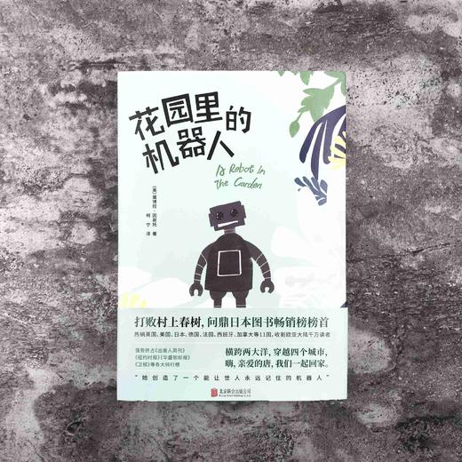 花园里的机器人 商品图0