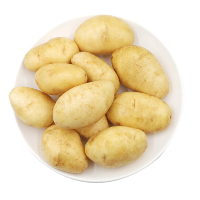 精品土豆 约500g