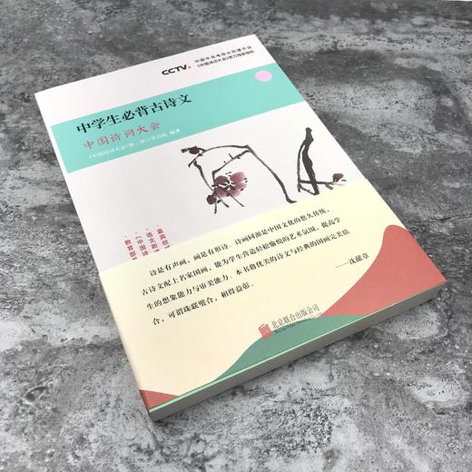 中国诗词大会：中学生必背古诗文 商品图2