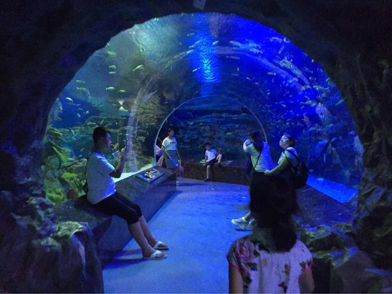 日照奇趣海洋世界