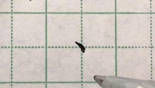 第3讲 基本笔画-右点 商品图0