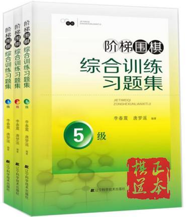 阶梯围棋综合训练习题册集 10本一套，从25级到3段 商品图3