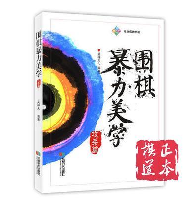 围棋暴力美学-攻杀篇/吴梓天 商品图0