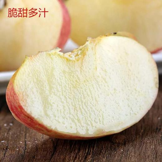金秋香 栖霞富士 商品图2