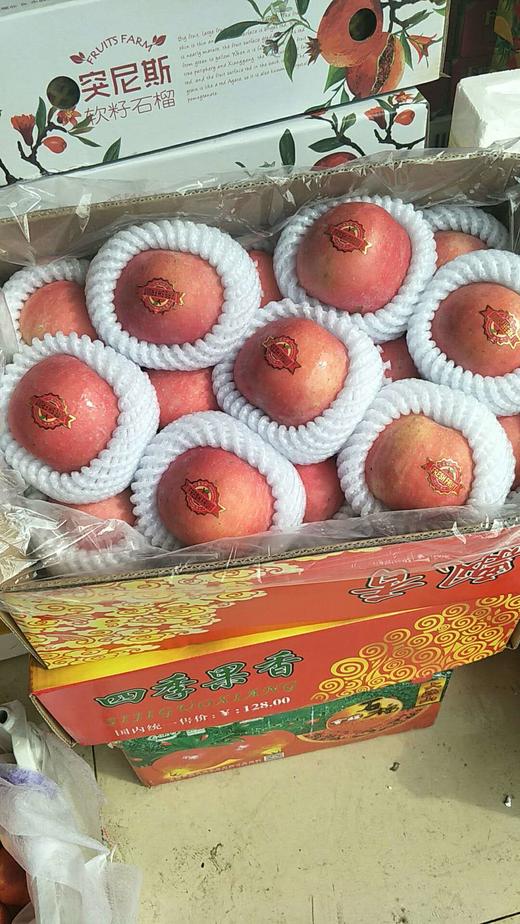 金秋香 栖霞富士 商品图0