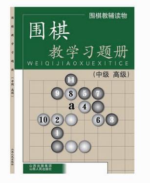 围棋教学习题册（中级 高级） 丁波 商品图0