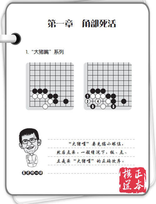 葛玉宏葛道场围棋死活精训·提高篇1（2级～1段） 商品图1